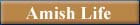 Learn about Amish Life